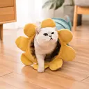 Creative Fruit Funny Pet Cat Tunnel Toys Puppy