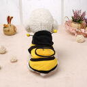 Clothes teddy dog