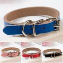 Leather dog collar chain