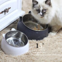 Protective Cervical Cat Bowl Oblique Mouth Pet