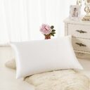 Pillowcase Satin Solid Color Simulation Silk Single Ice