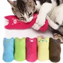 Catnip Cat Toys Pillow Interactive Toy Pet Supplies
