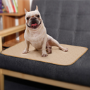 Dog Urine Pad Absorbent Diaper