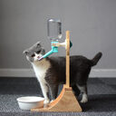 Cat Drinking Water Dispenser Fountains Dog Pet Supplies