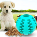 Pet Slow Feeder Dog Toy Cute Funny Rubber