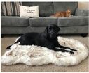 Fluffy Long Plush Warm Pet Blanket