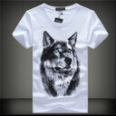 Oversized Cotton Fashion Half Sleeve For Young