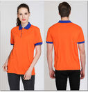 Polo shirt cultural T-shirt
