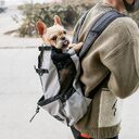 Pet Dog Carrier Bag For Dogs Backpack Out
