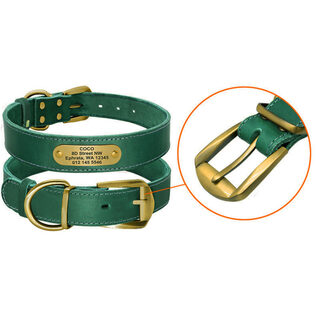 Personalized Dog Collars with Nameplate ID Tags