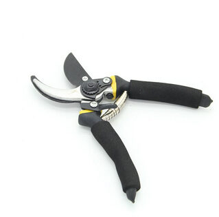 Garden Shears Fruit Tree Pruning