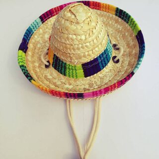 Pet Supplies Straw Woven Mini Dog Hat Mexican