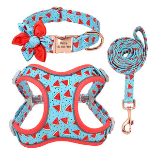 Dog Leash Small Teddy Corgi Supplies Collar