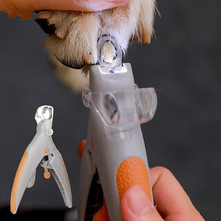 Led Pet Nail Scissors Cat Clippers