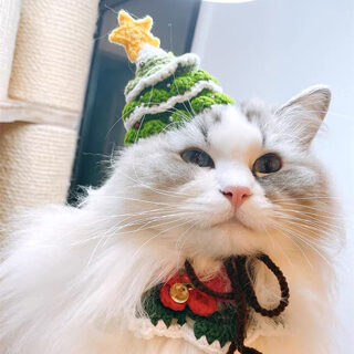 Pet Christmas Handmade Woolen Hat