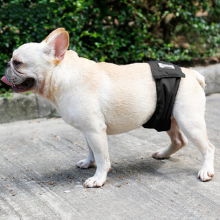 Male Dog Restraint Courtesy Belt Pet Supplie Washable