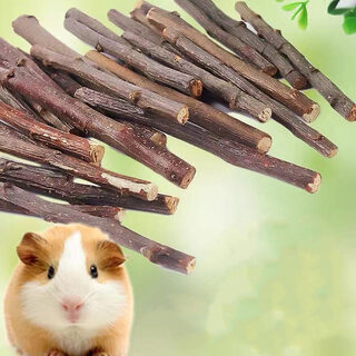 Dried Branches Rabbit Chinchilla Hamster Treats