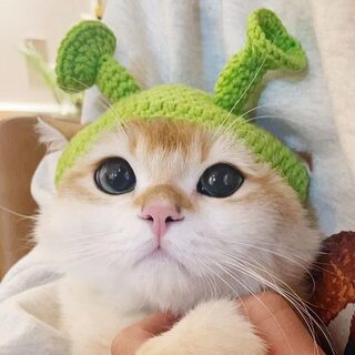 Handmade Knitted Cat Dog Hat Pet Hair Accessories