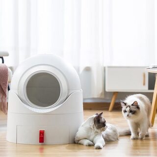 Full Closed Semi Smart Cat Toilet Super Large