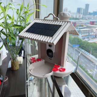 Intelligent Feeder 160 Degree Wide Angle AI Identify
