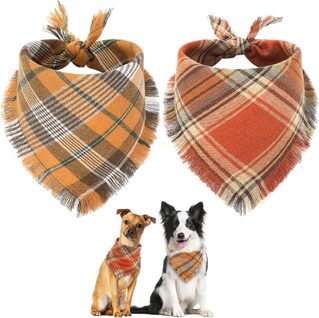 Vivifying Fall Dog Bandana With Tassels Edges Classic