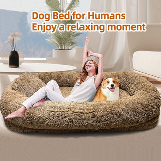 Queen Bed Pet Plush Sofa For Owner