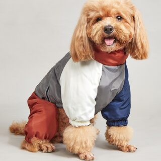Pet Winter Color Matching Cotton-padded Clothes Dog Medium