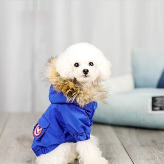 Pet dog clothes wool hat cotton