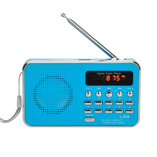 Multi-function card radio portable memory MP3 music player