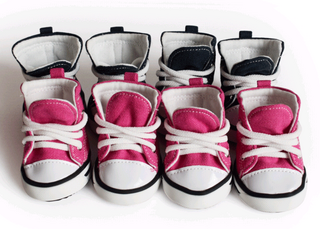 Pet denim canvas shoes dog