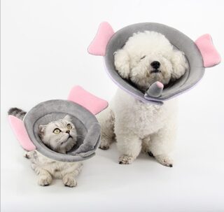 Pet Protection Collar Flower Grooming Kits Dog Bite