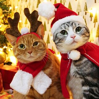 Pet tiara small Christmas