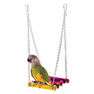 Colorful suspension bridge swing stand bar peony