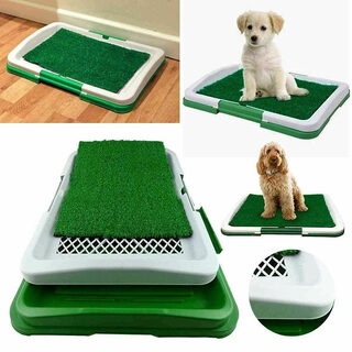 Dog Cleaning Tool Grid Lawn Flat Toilet Potty