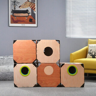 DIY Multipurpose Cat Hiding Box Toys with Cardboard