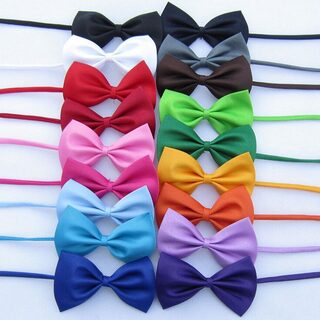 1 piece Adjustable Dog Cat bow tie neck