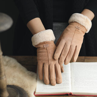 Gloves Female Autumn and Winter Warm Korean Version
