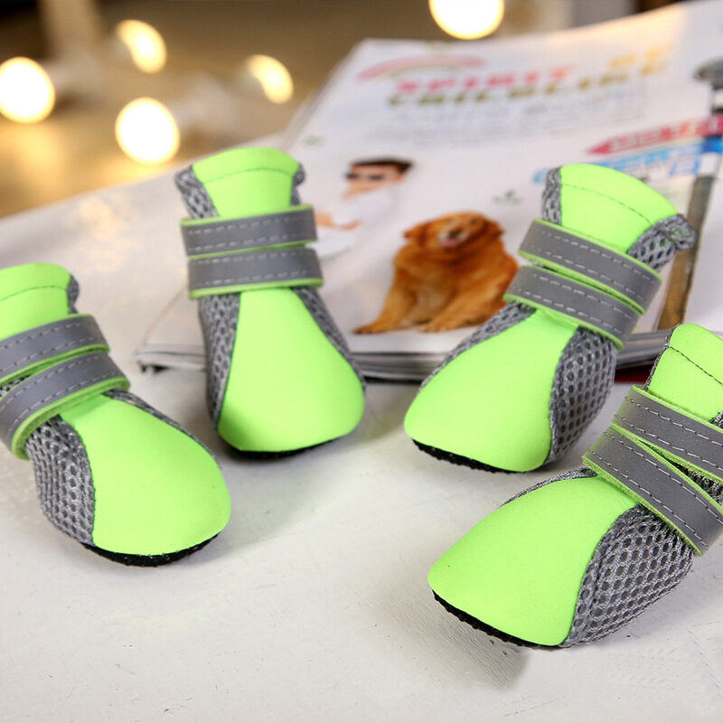 Teddy Dog Shoes Waterproof
