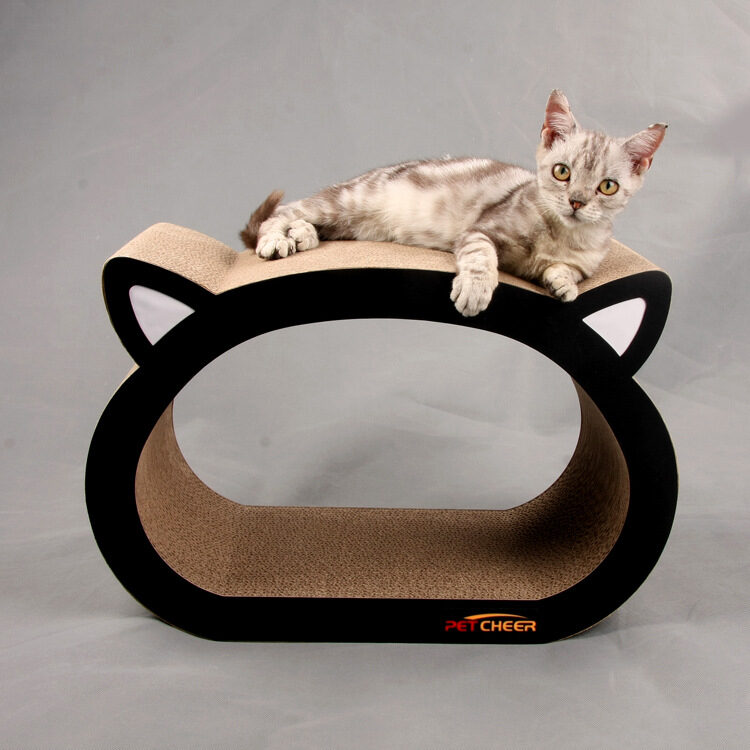 cat head scratch board
