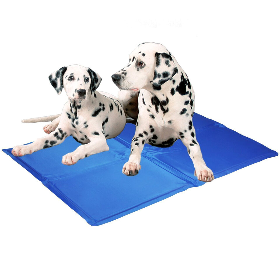 Dog Cooling Mat Pet Ice Pad Teddy Mattress