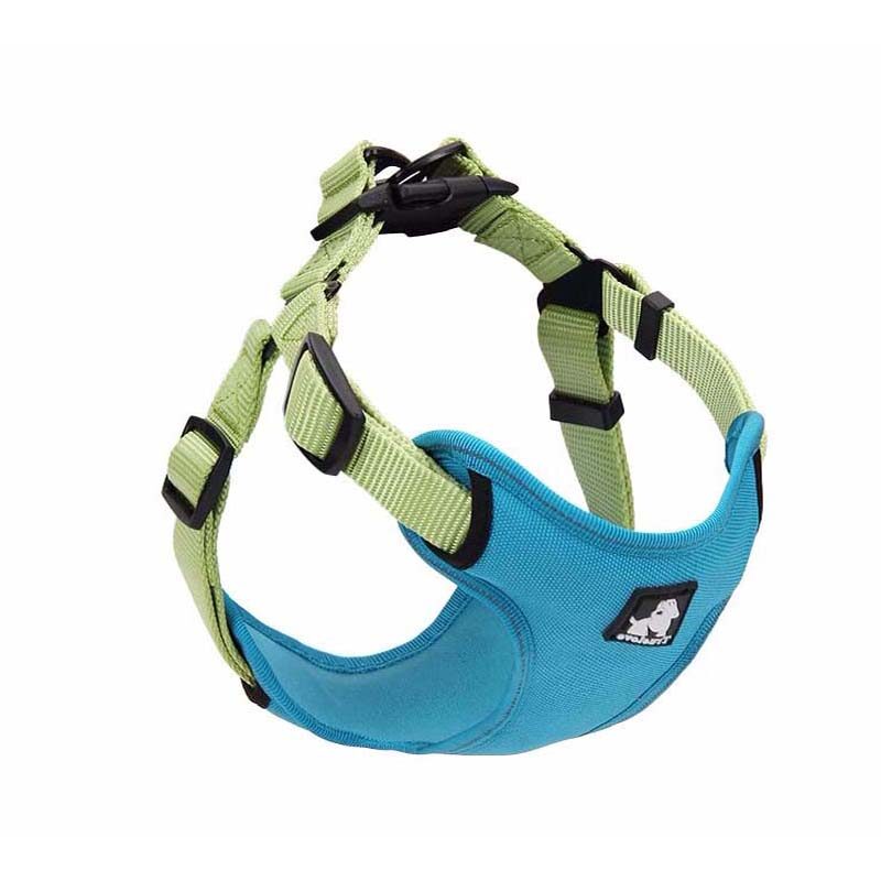Dog leash collar walking