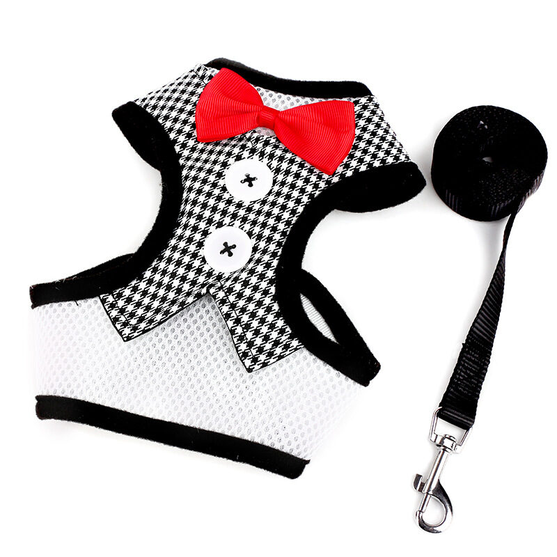 Dog leashes Small Teddy vest-style bow evening dress