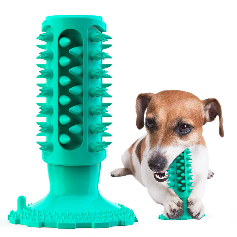 Teeth Cleaning Dog Toothbrush Sucker Molar Stick Bite