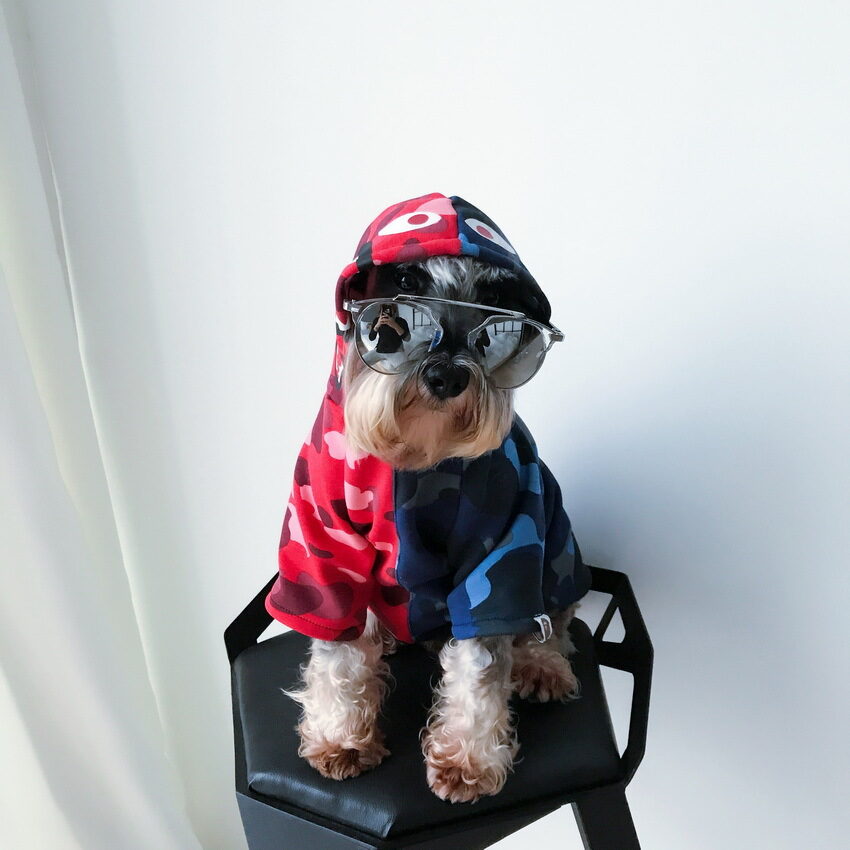 Dog Clothes Pupreme Pawmain French Bulldog Shirt Sweater