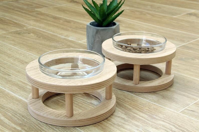 Pet Bowl Food Utensils Cat