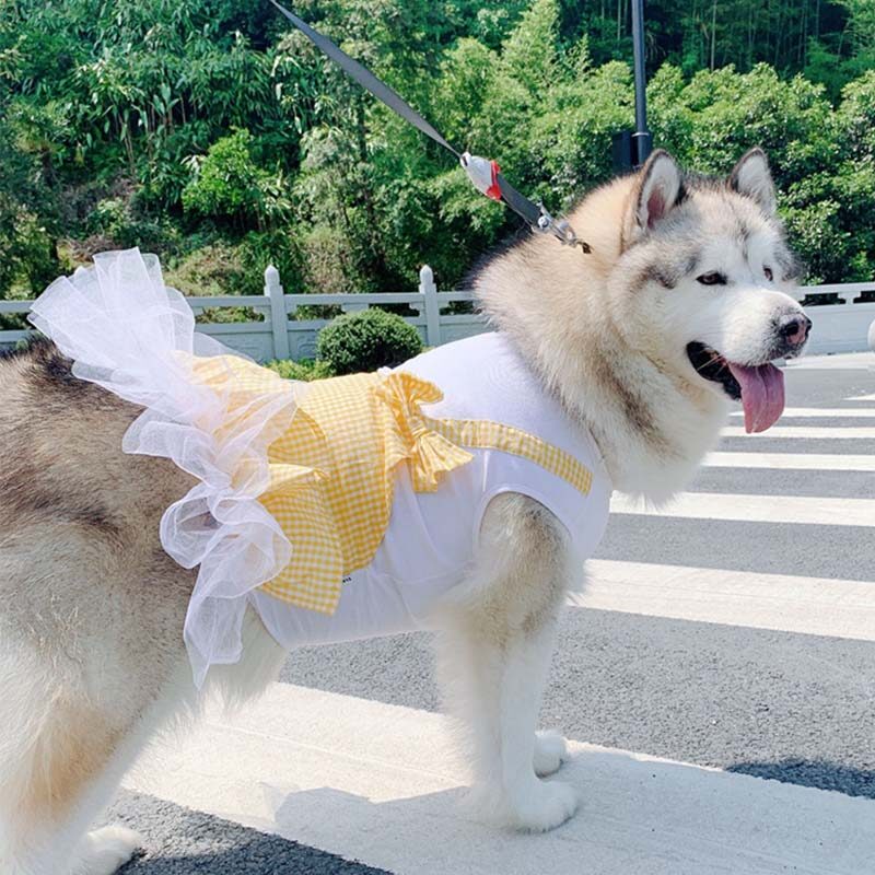 Dog Clothes Princess Costume Labrador Golden Retriever Big