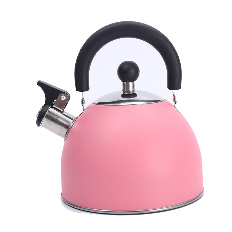 Ru Yi Pink Whistling Kettle Fashion New