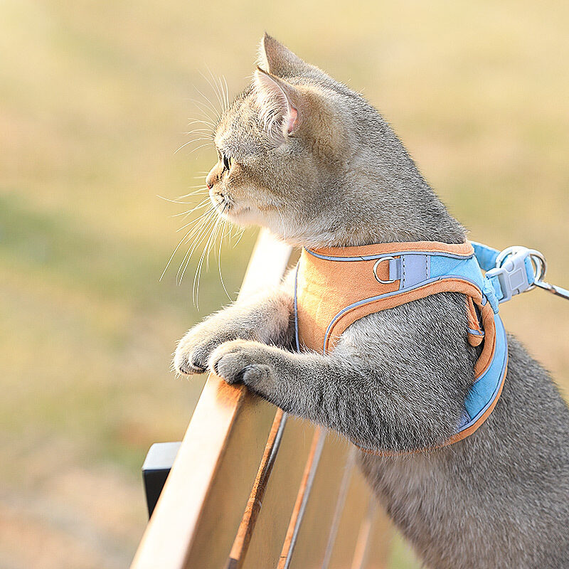Cat Traction Rope Home Vest-Style Chest Harness Cute