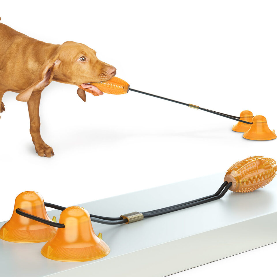Multifunction Double Tug Rope Balls Sucker Toy Dog