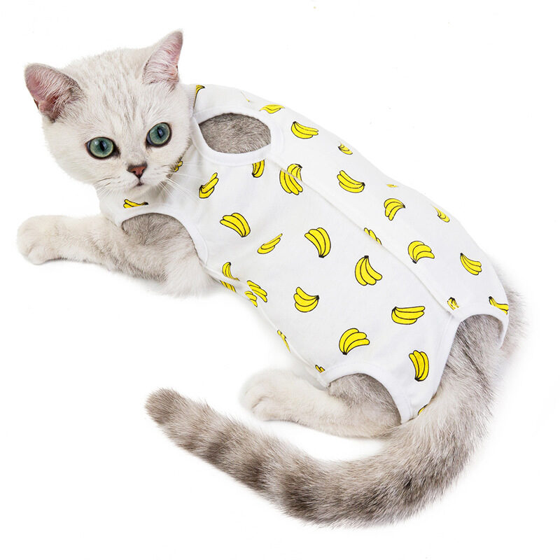 Cat Clothes Spring And Summer Thin Female Anti-Licking